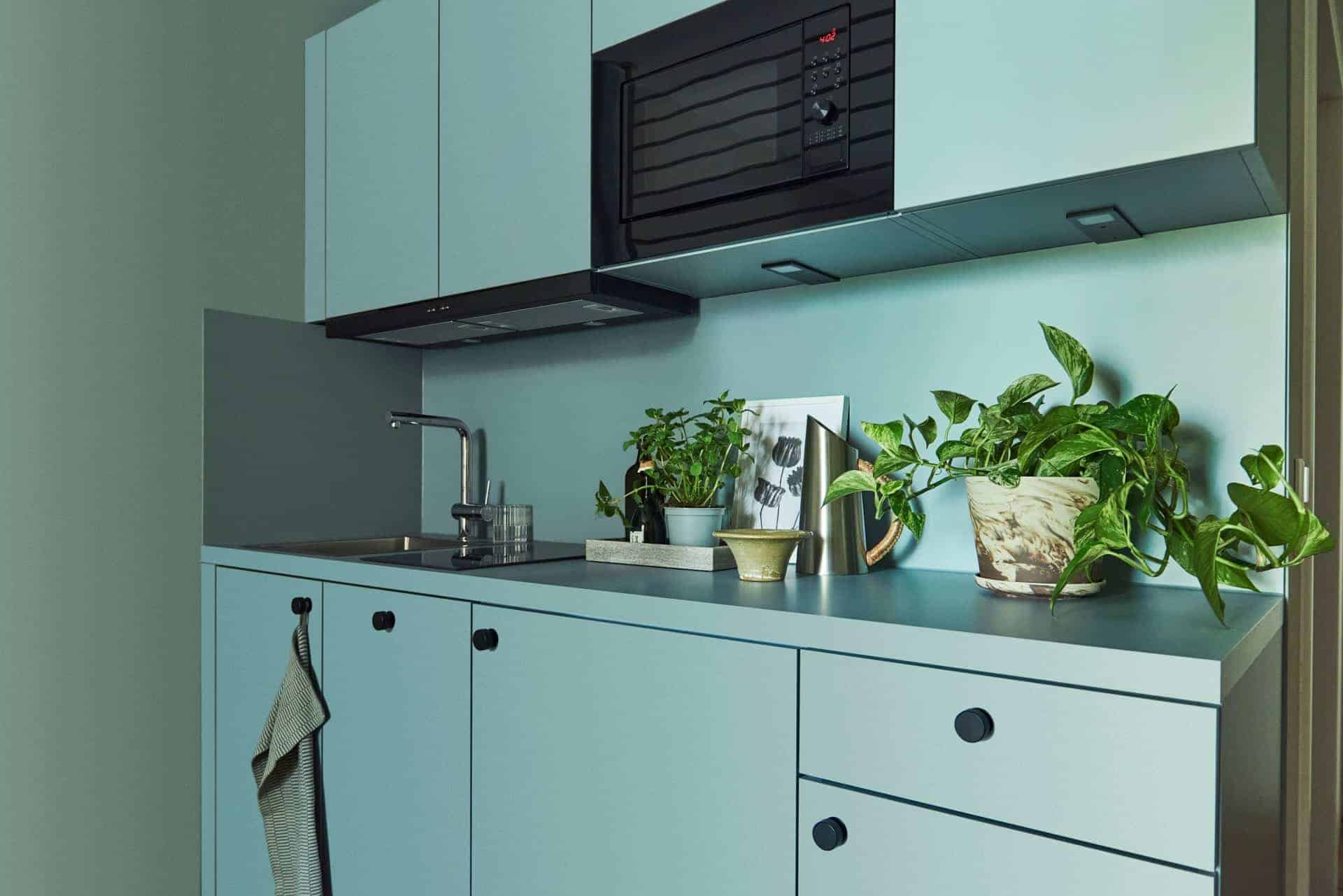 Küchenzeile mit Induktionsfeld und Regalbrett in einem Apartment im Eastside